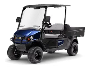 Cushman Hauler utility vehicle