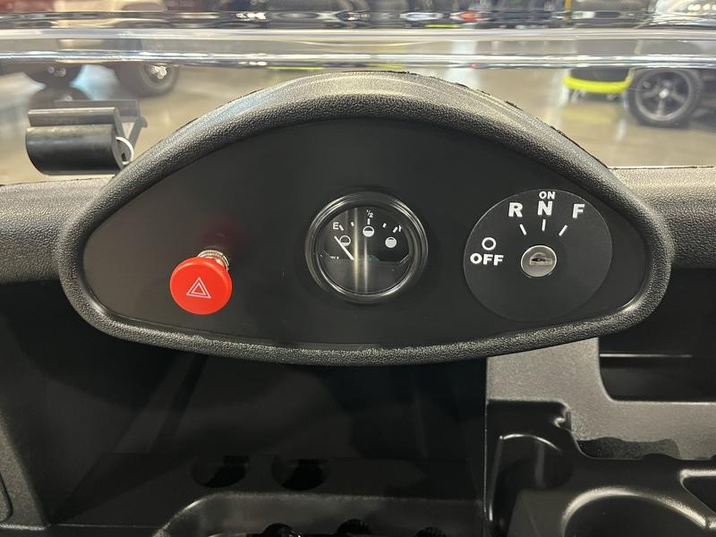 2021 E-Z-GO Freedom RXV Golf Car