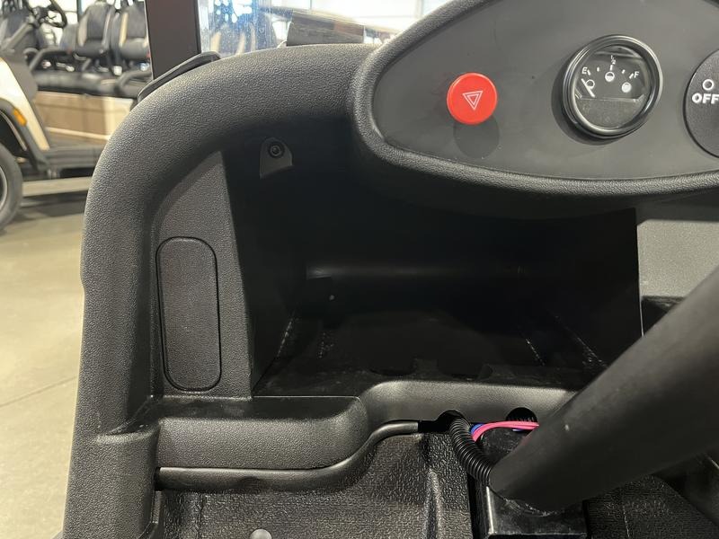 2021 E-Z-GO Freedom RXV Golf Car