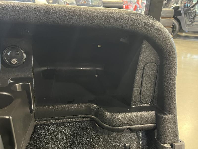 2021 E-Z-GO Freedom RXV Golf Car