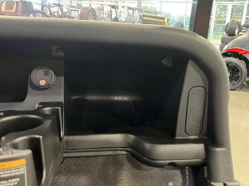 2021 E-Z-GO Freedom RXV Golf Car