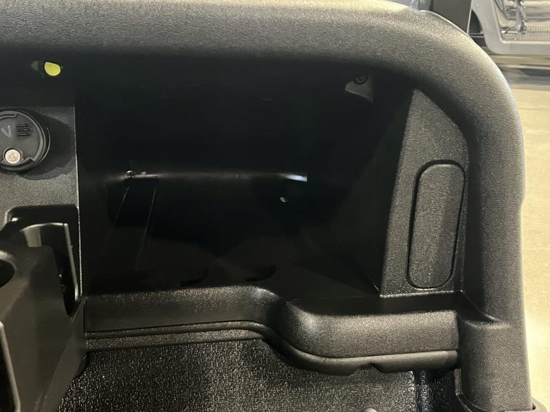 2021 E-Z-GO Freedom RXV Golf Car
