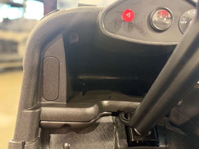 2021 E-Z-GO Freedom RXV Golf Car