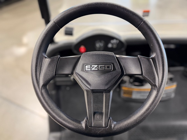 2021 E-Z-GO Freedom RXV Golf Car